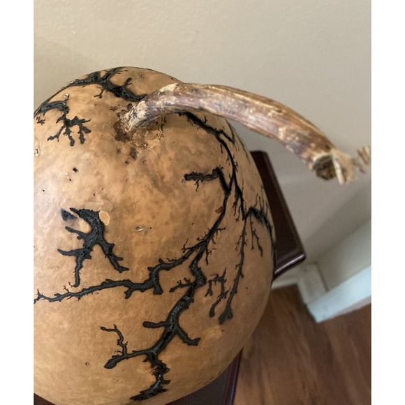 Fractal Gourd Burned Art‎ Large Lightning Pattern Lichtenberg Spooky - Picture 5 of 6